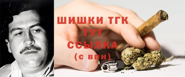 дурь Арсеньев