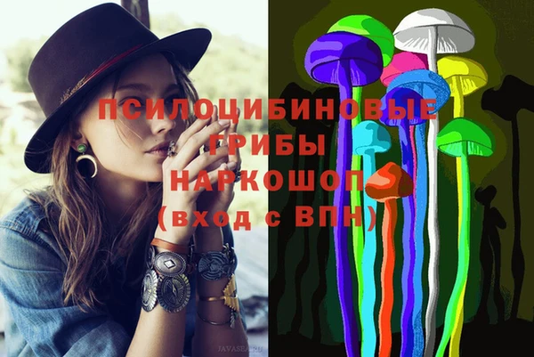 дурь Арсеньев