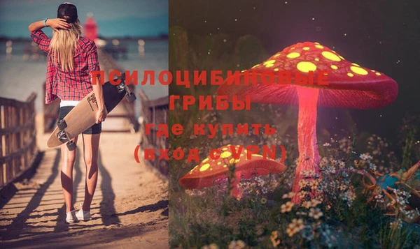 мет Аркадак