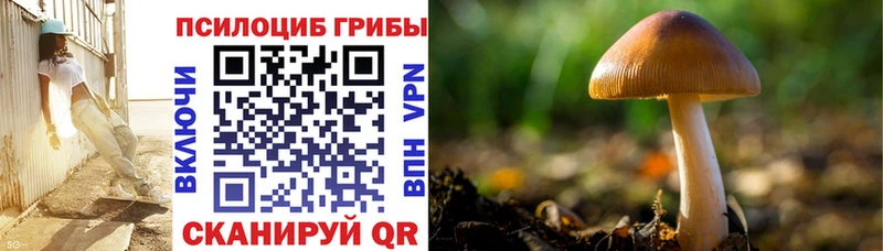 Псилоцибиновые грибы Magic Shrooms  kraken ССЫЛКА  Белогорск 